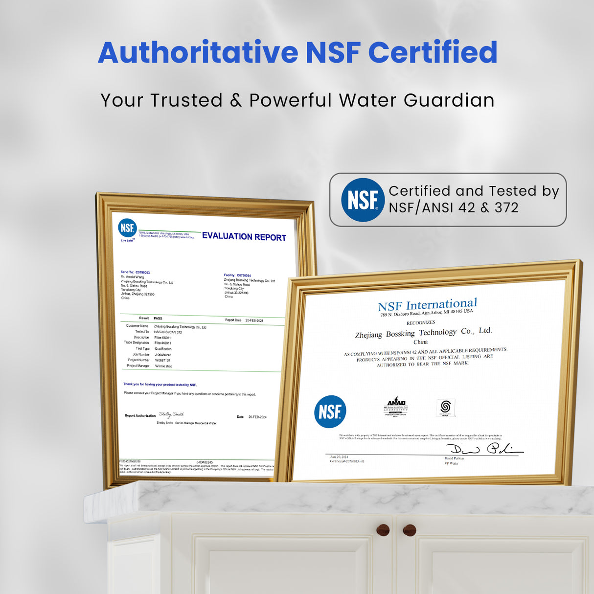 Joypur Visdow Classic Gravity Water Filter System with Iconic Dome Lid – 2.25 Gallon Stainless Steel Countertop Water Purifier