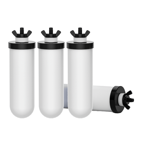 Joypur Replacement Filter PF-4 – NSF Certified, 2-Stage Filtration for Gravity Water Filters