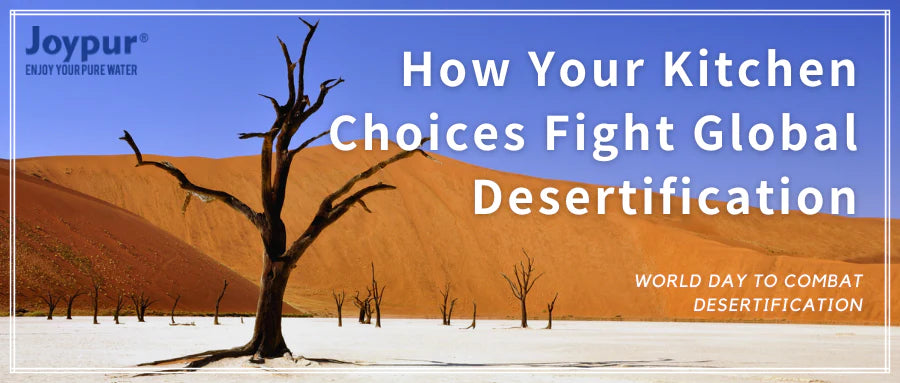 When Every Drop Counts: How Your Kitchen Choices Fight Global Desertification