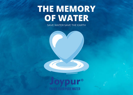 The Memory of Water: From the Origins of Life to the Survival Struggles of Modern Civilization