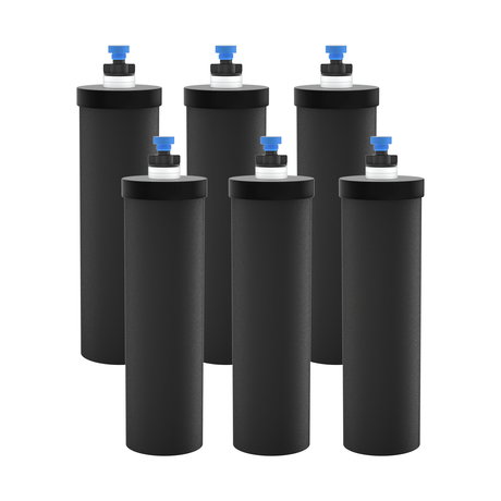 Joypur Black Replacement Filter PF-2